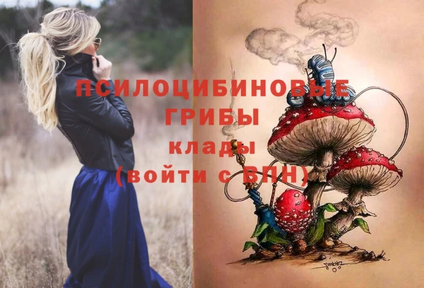 дурь Балахна
