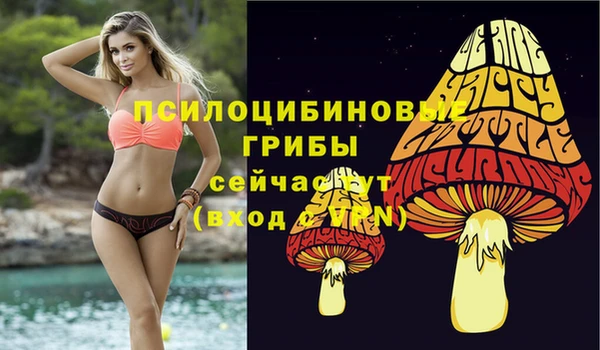 дурь Балахна
