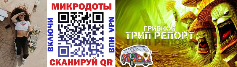 блэк спрут маркетплейс  Лаишево  Псилоцибиновые грибы Psilocybine cubensis 